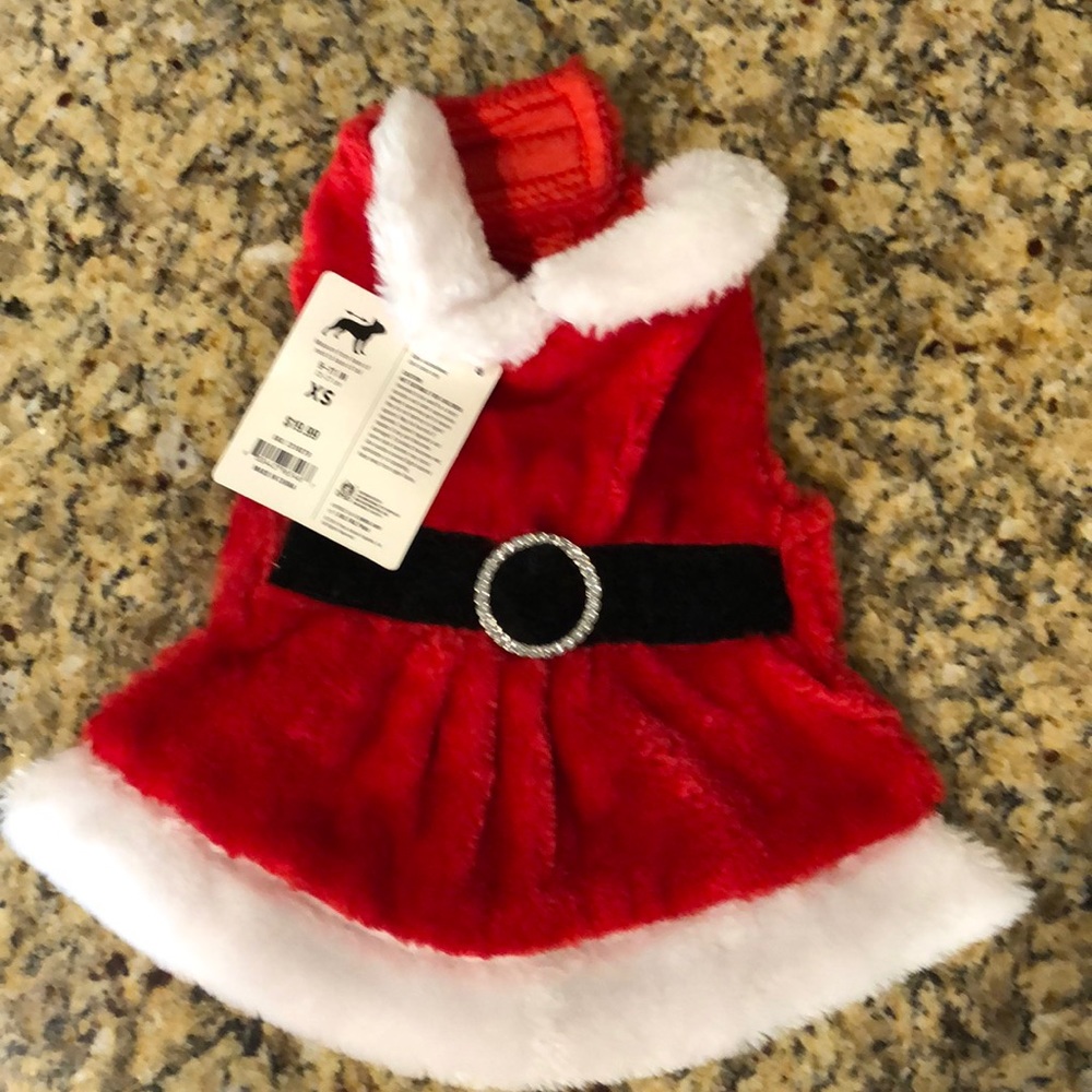 Dog Claus outfit